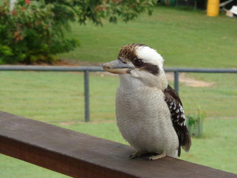 Eumundi Cottages Cottage 1 - Accommodation Mount Tamborine 3