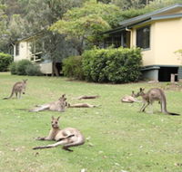 Depot Beach Cabins - Accommodation Mount Tamborine