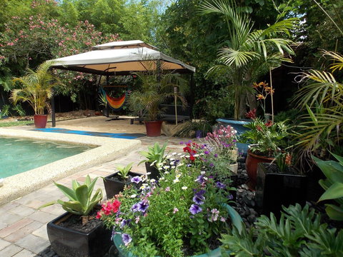 Hidden Oasis - Accommodation Mount Tamborine 4