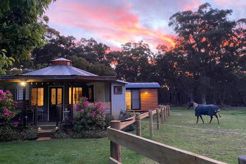 Ionaforest Yurt & Shepherds Hut - Accommodation Mount Tamborine 3