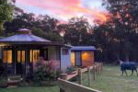 Ionaforest Yurt & Shepherds Hut - Accommodation Mount Tamborine 0