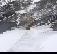 High Knob - Accommodation Mount Tamborine