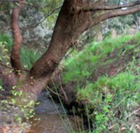 Longwood Retreat - Accommodation Mount Tamborine