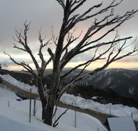 Snowflake 12 - Accommodation Mount Tamborine