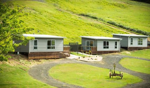 Sunny Gum - Accommodation Mount Tamborine 6