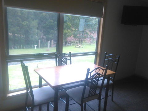 Sunny Gum - Accommodation Mount Tamborine 5