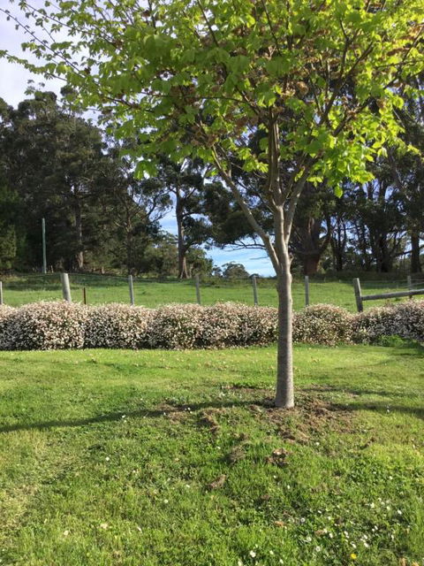 Nextdooratportarthur - Accommodation Mount Tamborine 3