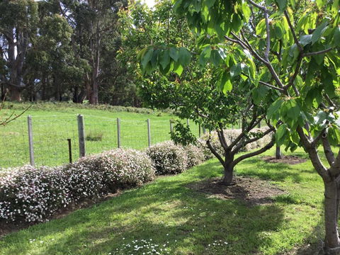 Nextdooratportarthur - Accommodation Mount Tamborine 1