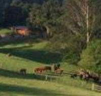 Amaroo Valley Springs - Accommodation Mount Tamborine