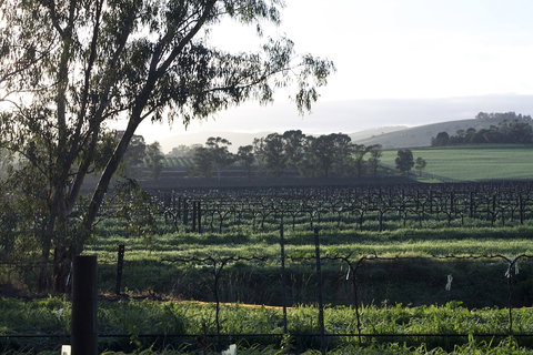 Jasmine's Cottage - Accommodation Mount Tamborine 0