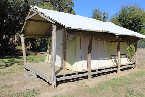 Wonky Stables Holiday Park - Accommodation Mount Tamborine 4