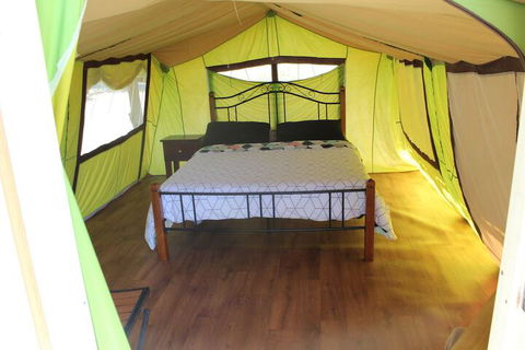 Wonky Stables Holiday Park - Accommodation Mount Tamborine 5