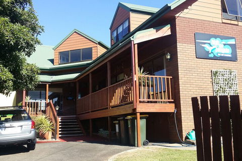 High On Penguin - Accommodation Mount Tamborine 1