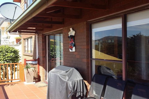High On Penguin - Accommodation Mount Tamborine 7