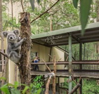 Springwood Meditation Vacation Center - Accommodation Mount Tamborine