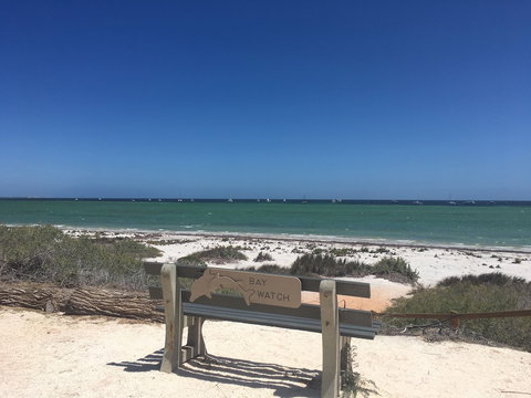 Denham Seaside Caravan Park - Accommodation Mount Tamborine 2