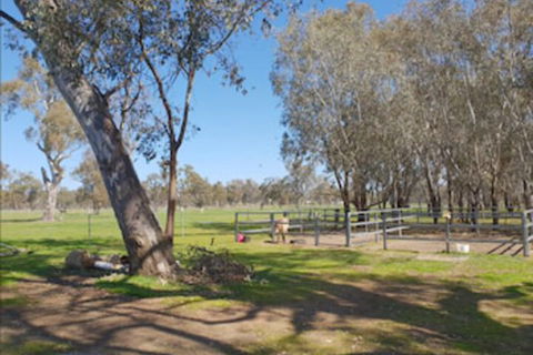 Jindera Park - Accommodation Mount Tamborine 2