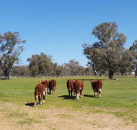 Jindera Park - Accommodation Mount Tamborine