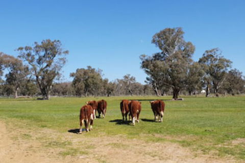 Jindera Park - Accommodation Mount Tamborine 0