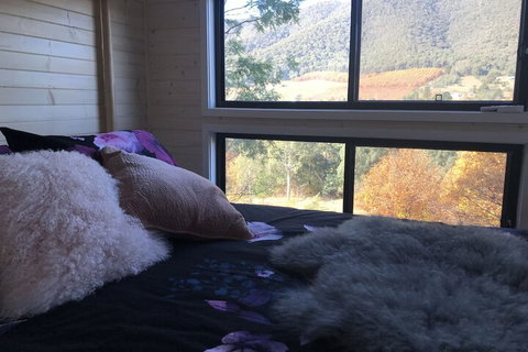 Little Wandana - Accommodation Mount Tamborine 3