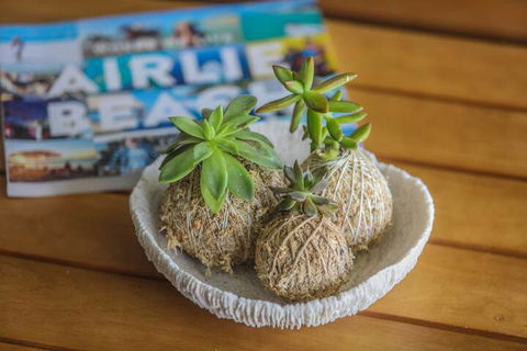 Airlie Guest House - Accommodation Mount Tamborine 1