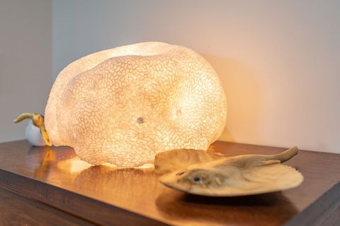 Airlie Guest House - Accommodation Mount Tamborine 2