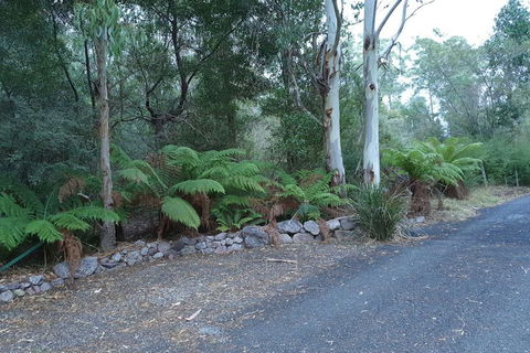 Roland B&B - Accommodation Mount Tamborine 4