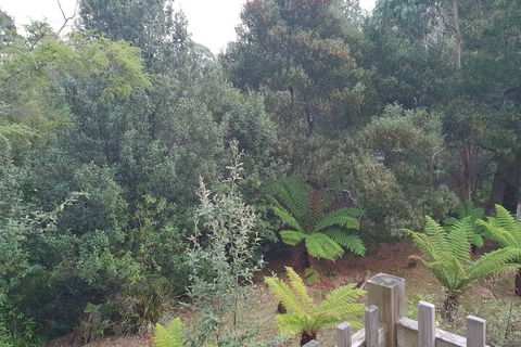 Roland B&B - Accommodation Mount Tamborine 1