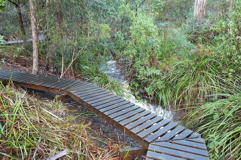 Roland B&B - Accommodation Mount Tamborine 6