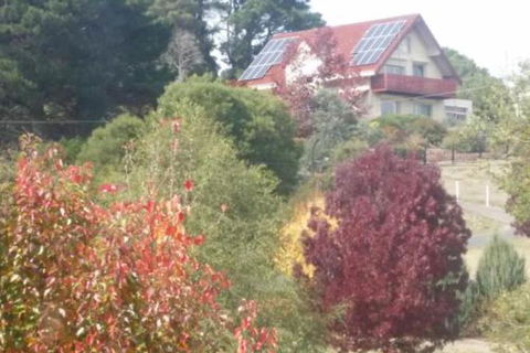 Abelia BIG SPA NO 1 Cottage - Accommodation Mount Tamborine 2