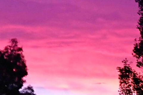 Abelia BIG SPA NO 1 Cottage - Accommodation Mount Tamborine 6