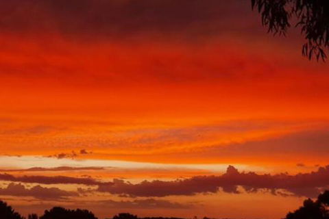 Abelia BIG SPA NO 1 Cottage - Accommodation Mount Tamborine 4