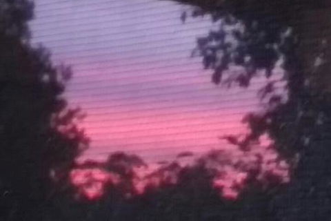 Abelia BIG SPA NO 1 Cottage - Accommodation Mount Tamborine 7