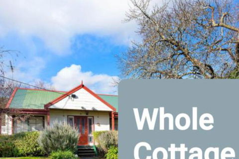 Abelia BIG SPA NO 1 Cottage - Accommodation Mount Tamborine 0