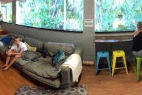 Mission Beach Retreat - Accommodation Mount Tamborine 3