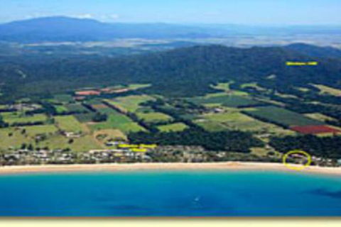 Endless Summer - Accommodation Mount Tamborine 4