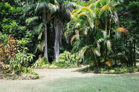 Book The Pocket Accommodation Vacations Accommodation Mount Tamborine Accommodation Mount Tamborine