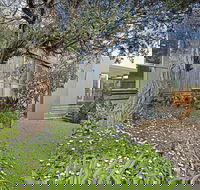 Beach Pearl - Accommodation Mount Tamborine