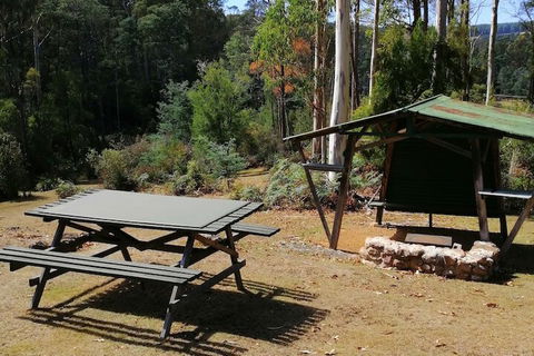Minnow Cabins - Accommodation Mount Tamborine 6