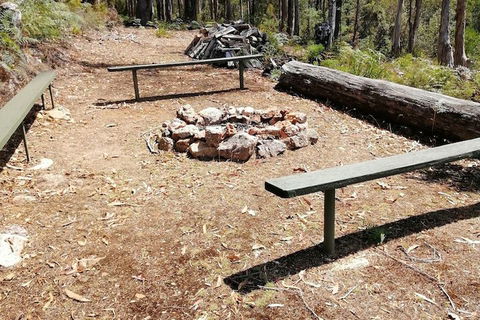Minnow Cabins - Accommodation Mount Tamborine 5