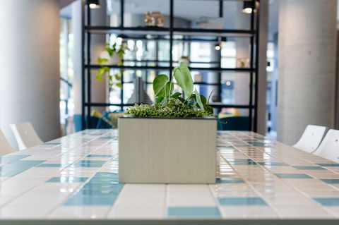 Ibis Styles East Perth - Accommodation Mount Tamborine 6