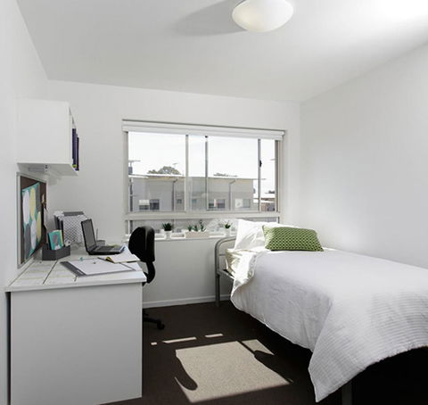 Unilodge At UC Short Stays - Accommodation Mount Tamborine 4
