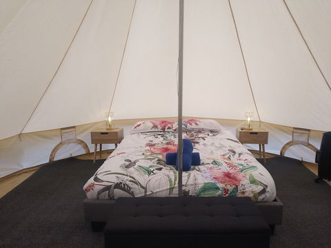 Zeehan Bush Camp - Accommodation Mount Tamborine 6