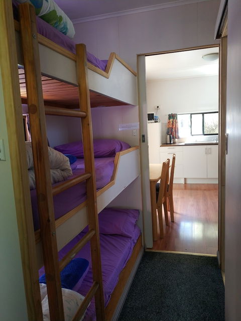 Zeehan Bush Camp - Accommodation Mount Tamborine 5