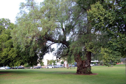 Adelaide Central Apartment - 3BR, 2Bath & Carpark - Accommodation Mount Tamborine 3