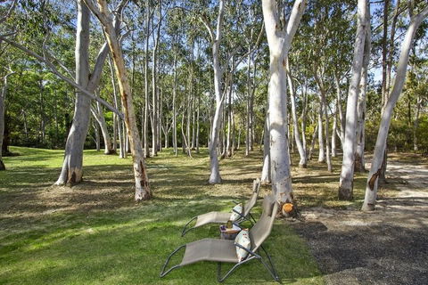 Azaltie - Accommodation Mount Tamborine 4