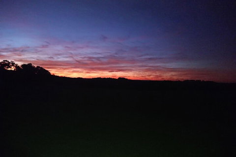 Ridgeview - Accommodation Mount Tamborine 7