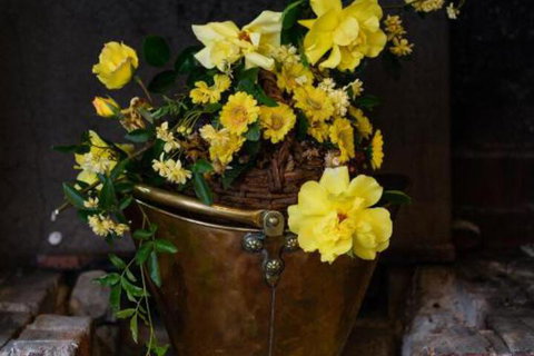 Sargeants & Armoury Cottages 1823 - Accommodation Mount Tamborine 6