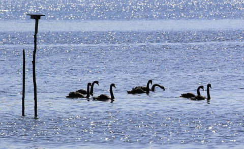 Riverwalk B & B - Accommodation Mount Tamborine 6