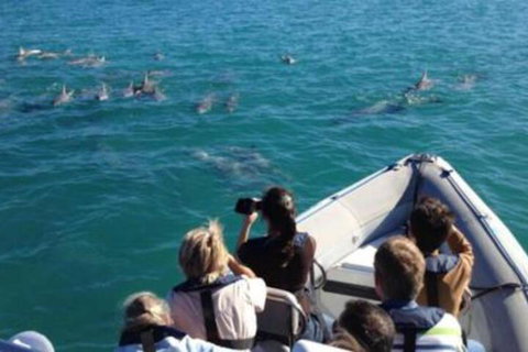 The Block Townhouses - Accommodation Mount Tamborine 4